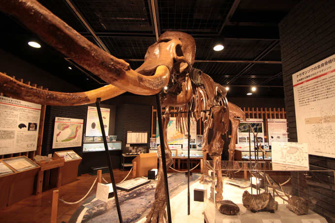 かなり楽しい!! 「岸和田だんじり会館」に村田らむが行ってみた！ 発見・驚き・テンション上がる!!の画像13