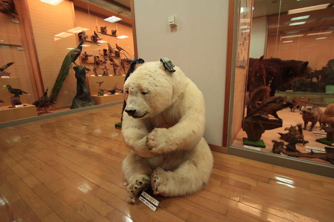 かなり楽しい!! 「岸和田だんじり会館」に村田らむが行ってみた！ 発見・驚き・テンション上がる!!の画像19