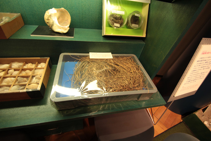 かなり楽しい!! 「岸和田だんじり会館」に村田らむが行ってみた！ 発見・驚き・テンション上がる!!の画像16