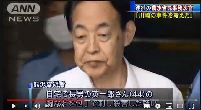 元農水次官の長男刺殺事件だけではない！ 引きこもりの息子に「仕事をしなさい」と声を掛けたら…川崎殺傷事件が招いた負の連鎖の画像1