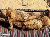 古代エジプト“未知の墓”で謎の「母子合体ミイラ」が出土! 左右逆向きに折り重なって… 専門家愕然の発掘最前線!