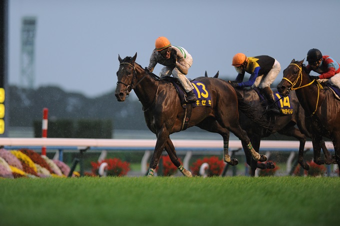 【大阪北部地震から1年】間もなく「南海トラフ巨大地震」発生か!? 阪神競馬場で著しい前兆発覚の可能性は?の画像5