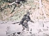 あのビッグフット映像が4Kリマスター版で新登場! パターソン・フィルムの真偽を鮮明映像で解明へ!