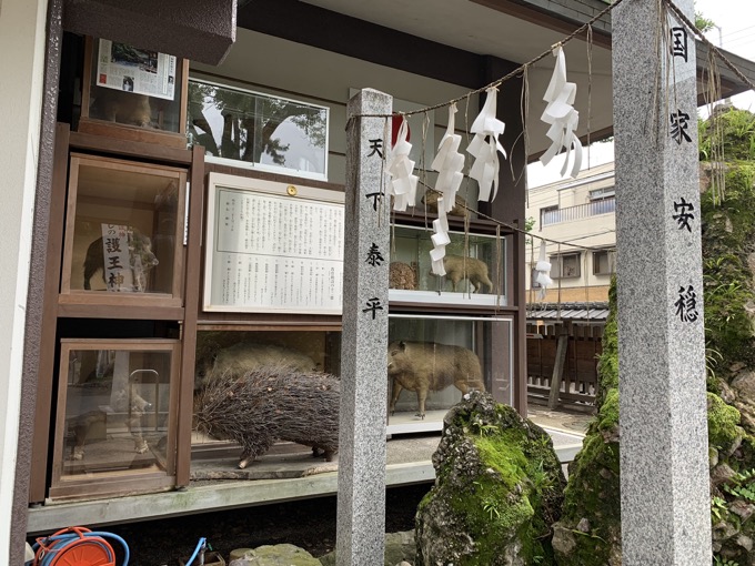 【千本釈迦堂】鼻が陰核、口が女性器、顔は醜女…日本人が知らない自殺した「おかめ伝説」人形コレクションがヤバい!の画像26