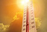 目から鱗「夏が暑い本当の理由」とは!?  豪雨・地震とも関係…電気的宇宙論の最先端!