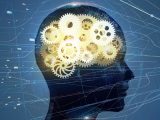 臭いニオイを嗅ぎながら勉強すると記憶力が超絶アップすると判明! 悪臭が記憶を定着させる研究がスゴい!