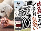 過激派ヴィーガンのやばい話を暴露シリーズ! 反犬肉活動家から藤倉善郎に届く不気味なメールの内容公開!
