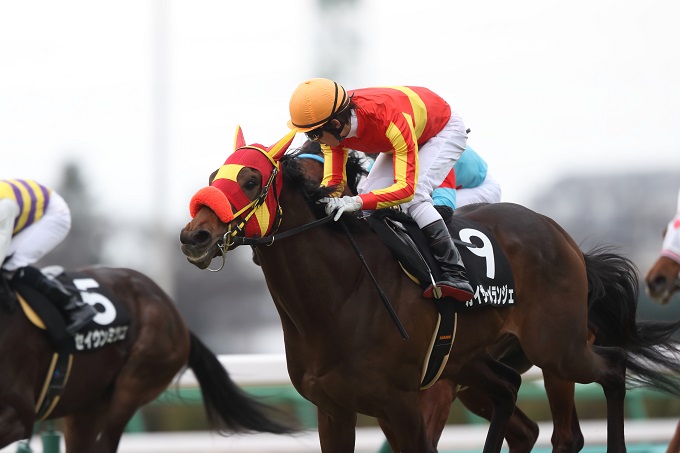 今週末、藤田菜七子に何かヤバい異変が起こる!? 田口淳之介、蒼井優らとヤバすぎる干支的共通点発覚!の画像4
