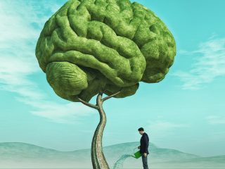 「植物に意識はあるか否か」科学者の間で白熱する論争がつまらないワケとは!? 最新の量子脳理論を考慮すべき