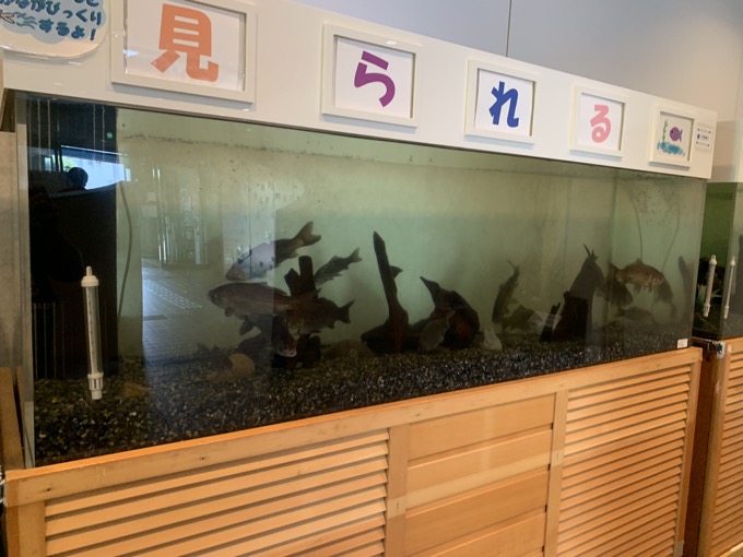 北区の心霊スポット「旧岩淵水門」に村田らむが行ってみた! 霊能者が「ヤバイ」と怯える場所を楽しく散歩♪の画像17