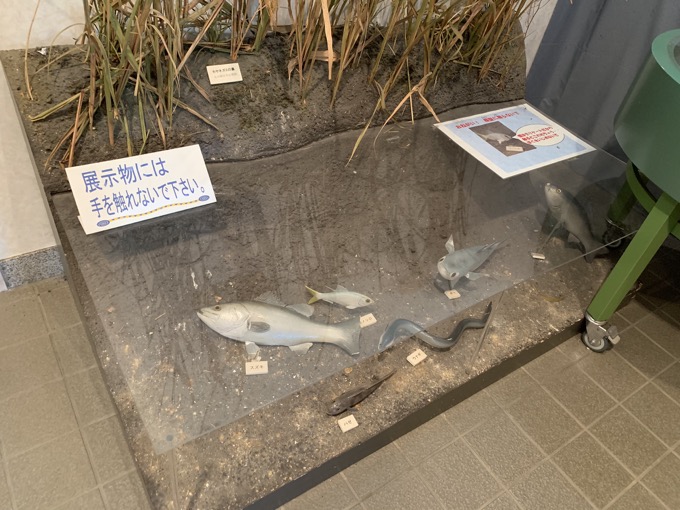 北区の心霊スポット「旧岩淵水門」に村田らむが行ってみた! 霊能者が「ヤバイ」と怯える場所を楽しく散歩♪の画像18