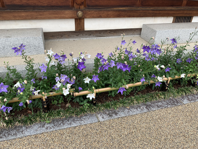 陰陽師・安倍晴明ゆかりの「晴明神社」に村田らむが行ってみた! 五芒星、式神、九字、呪符…陰陽師アイテムが超カッコいい!の画像13