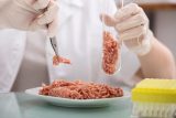 モンサント、ついに植物由来の人工肉産業に進出か!?  すでに”恐怖の”高グリホサート人工バーガーが市場に出現!