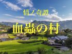 北九州「呪いの村」で起きた本当にあった怖い話！ 呪われた家、消える家族、殺人、そして死…「血蟲の村」川奈まり子の実話怪談！