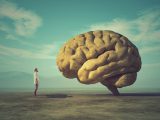 「将来人間レベルの知能を持ちうる生物」を6人の識者が考察! チンパンジーやイルカだけじゃなかった!
