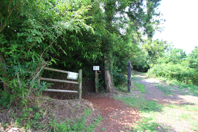 韓国・済州島の「反日施設」がヤバすぎて悶絶! 日本兵の過激拷問を再現、無数の骸骨、日本軍が掘ったガチ塹壕…村田らむが潜入!の画像21