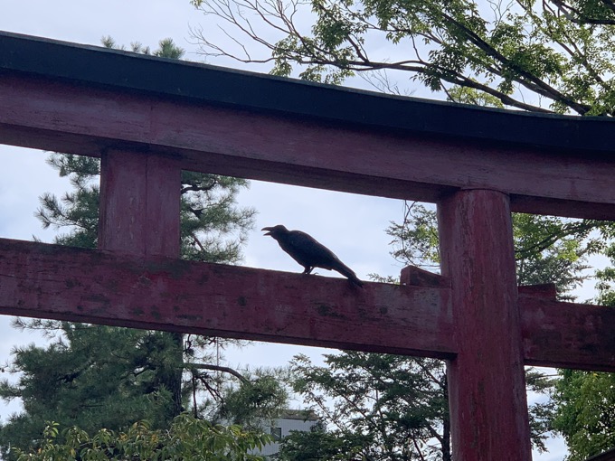 「縁切り神社」安井金比羅宮の本当に怖い絵馬6連発! 呪い、恨み、インスタ凍結…村田らむが厳選!の画像5