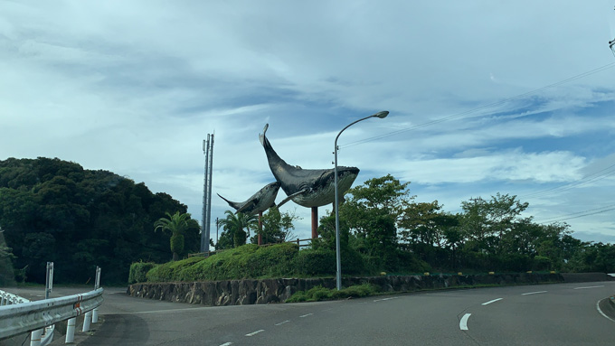 シーシェパードらに標的にされる太地町「くじらの博物館」に潜入！ セミクジラの200キロ睾丸も発見…村田らむ取材！の画像1