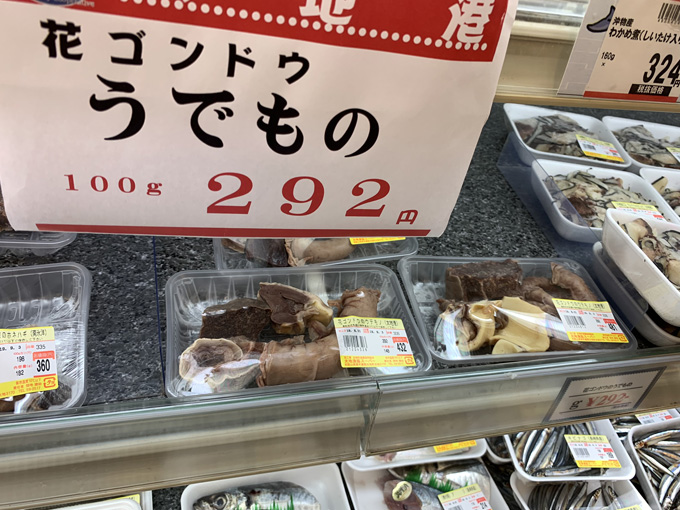 シーシェパードらに標的にされる太地町「くじらの博物館」に潜入！ セミクジラの200キロ睾丸も発見…村田らむ取材！の画像30