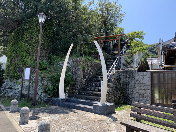 シーシェパードらに標的にされる太地町「くじらの博物館」に潜入！ セミクジラの200キロ睾丸も発見…村田らむ取材！の画像27