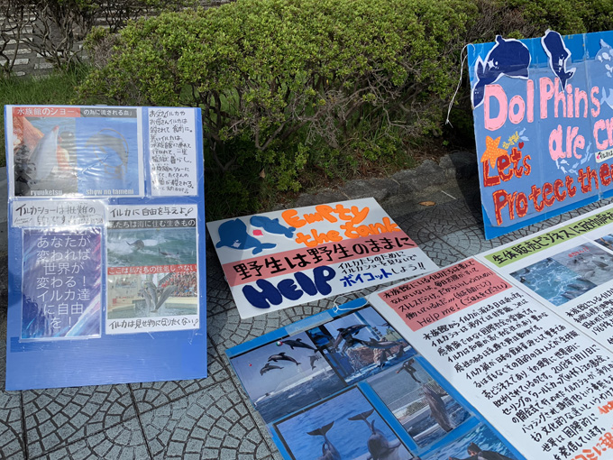 シーシェパードらに標的にされる太地町「くじらの博物館」に潜入！ セミクジラの200キロ睾丸も発見…村田らむ取材！の画像6