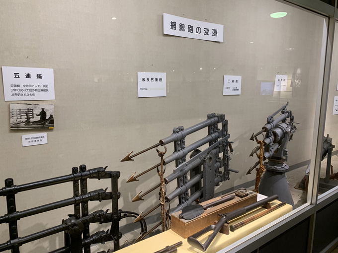 シーシェパードらに標的にされる太地町「くじらの博物館」に潜入! セミクジラの200キロ睾丸も発見…村田らむ取材!の画像22