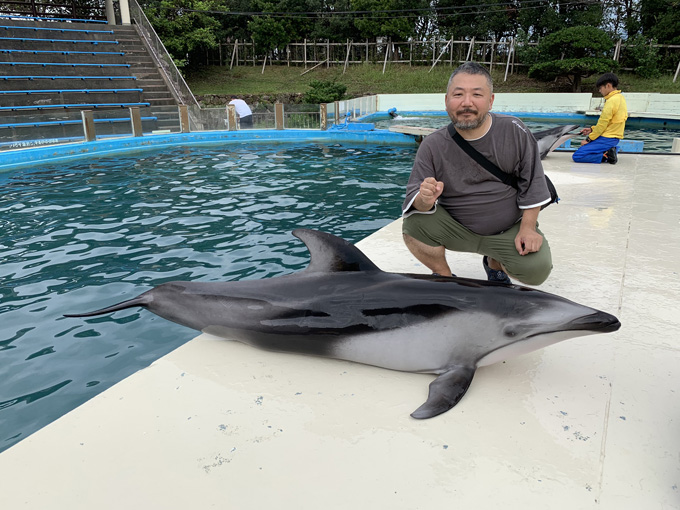 シーシェパードらに標的にされる太地町「くじらの博物館」に潜入！ セミクジラの200キロ睾丸も発見…村田らむ取材！の画像33