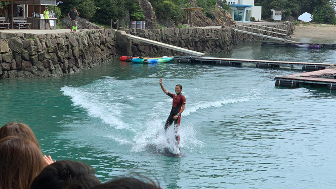 シーシェパードらに標的にされる太地町「くじらの博物館」に潜入！ セミクジラの200キロ睾丸も発見…村田らむ取材！の画像38