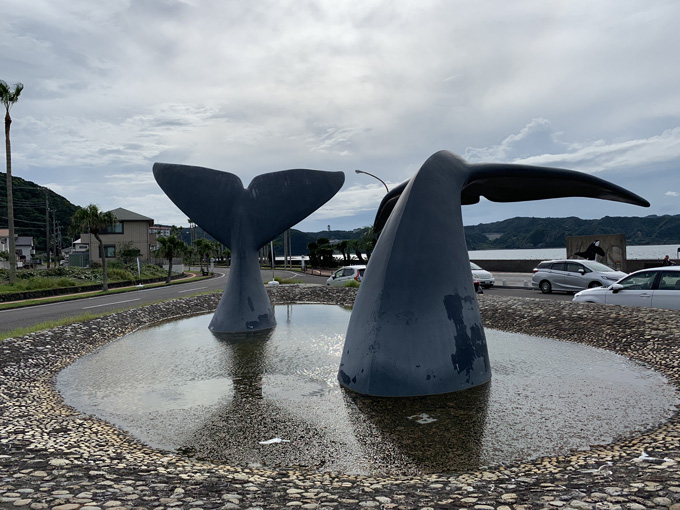 シーシェパードらに標的にされる太地町「くじらの博物館」に潜入！ セミクジラの200キロ睾丸も発見…村田らむ取材！の画像4