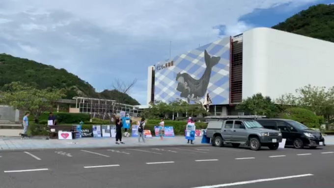 シーシェパードらに標的にされる太地町「くじらの博物館」に潜入! セミクジラの200キロ睾丸も発見…村田らむ取材!の画像24