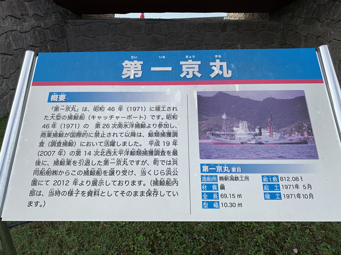 シーシェパードらに標的にされる太地町「くじらの博物館」に潜入！ セミクジラの200キロ睾丸も発見…村田らむ取材！の画像3