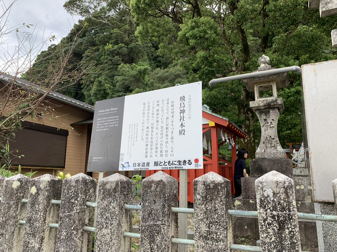 シーシェパードらに標的にされる太地町「くじらの博物館」に潜入！ セミクジラの200キロ睾丸も発見…村田らむ取材！の画像28