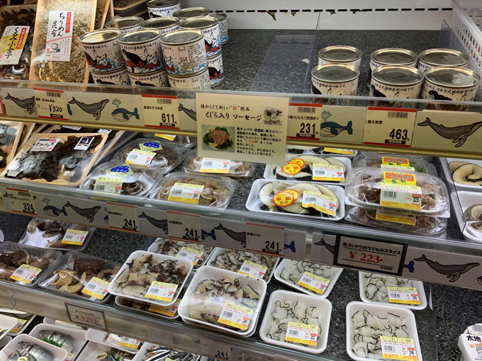 シーシェパードらに標的にされる太地町「くじらの博物館」に潜入！ セミクジラの200キロ睾丸も発見…村田らむ取材！の画像26