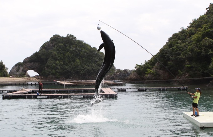 和歌山で「イルカ漁反対の団体」が超怪しげな暗闇ミサを実行していると判明！ 捕鯨も反対謎のクジラ水でお祈りも【潜入取材】の画像3