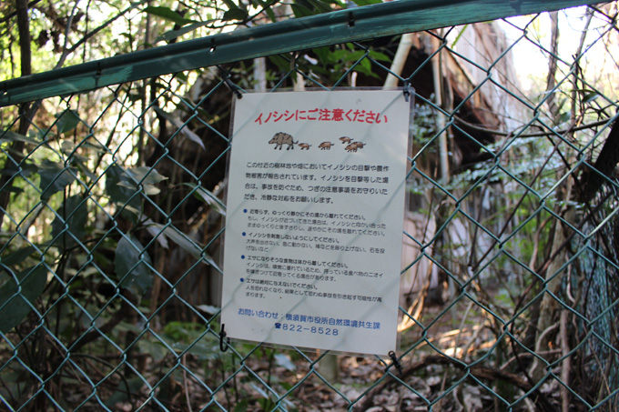 超怖い現代のゴーストタウン「田浦廃村」に潜入！ビビって足がすくむレベル、殺せの張り紙…横須賀の廃村を村田らむがルポ！の画像10