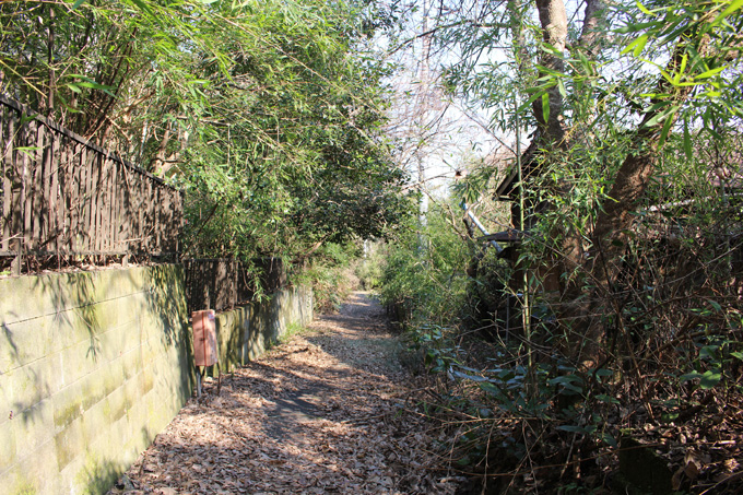 超怖い現代のゴーストタウン「田浦廃村」に潜入！ビビって足がすくむレベル、殺せの張り紙…横須賀の廃村を村田らむがルポ！の画像13