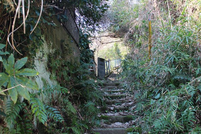 超怖い現代のゴーストタウン「田浦廃村」に潜入！ビビって足がすくむレベル、殺せの張り紙…横須賀の廃村を村田らむがルポ！の画像15