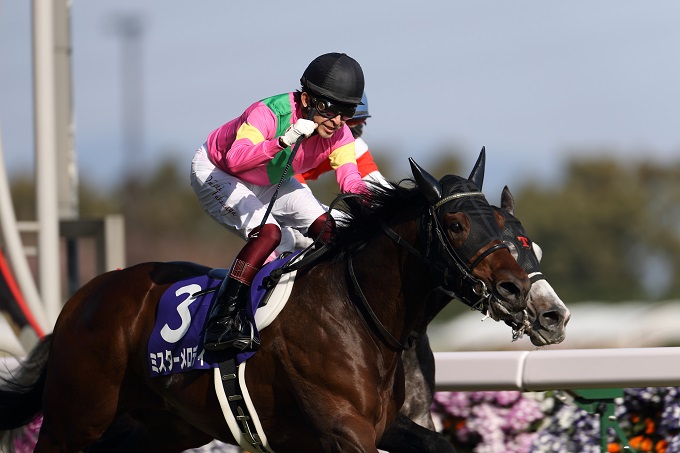 【ラグビーW杯】開催中はあることに注目すればガッポガッポ儲かる!? 専門家がスゴすぎる一攫千金法を徹底解説!の画像4