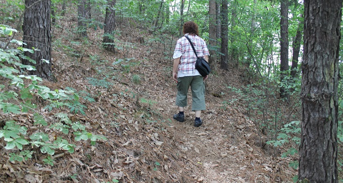 世界7大恐怖スポット「韓国・南陽精神病院」廃墟に村田らむが潜入! 精神病患者の脳内世界絵、「ここは危険…」不気味な英文メッセージもの画像3