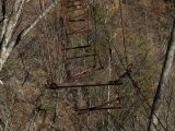 埼玉県秩父市の「無能吊り橋」がヤバすぎる! 人が渡れない構造…「落ちたら絶対に死ねる」