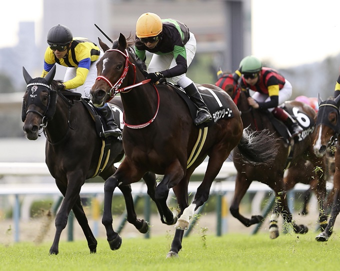 【ショック】JRAエリザベス女王杯（G1）目前、人気馬のヤバすぎる不安情報流出！ 謎の最強「馬券師」集団が暴露の画像1