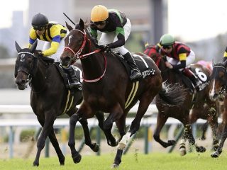 【ショック】JRAエリザベス女王杯（G1）目前、人気馬のヤバすぎる不安情報流出！ 謎の最強「馬券師」集団が暴露