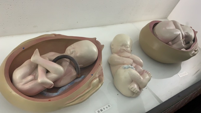 群馬の「命と性ミュージアム」は途方もないエロスが全開！「いやらしい２号」も…村田らむが取材！の画像8