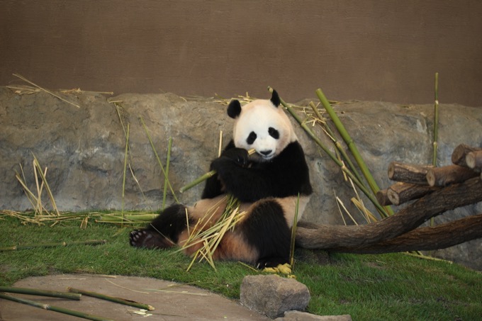 「日韓の飛び降り自殺スポット」を村田らむが比較してみた！ 8年間で1000人超え…和歌山のあの絶景も！の画像20