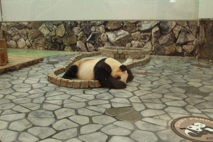 「日韓の飛び降り自殺スポット」を村田らむが比較してみた！ 8年間で1000人超え…和歌山のあの絶景も！の画像22