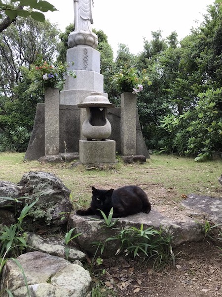 「日韓の飛び降り自殺スポット」を村田らむが比較してみた！ 8年間で1000人超え…和歌山のあの絶景も！の画像17