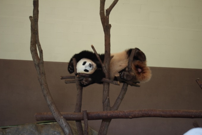 「日韓の飛び降り自殺スポット」を村田らむが比較してみた！ 8年間で1000人超え…和歌山のあの絶景も！の画像21