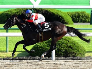 JRA天皇賞・秋（G1）で“トンデモない番狂わせ”が起きる… 関係者に出回る極秘情報判明！ アーモンドアイを脅かす関西馬とは!?