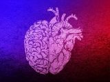 「予知能力」が誰にでも具わっていることが立証されたガチ科学実験とは!? “脳より先に”未来を察知する意外な臓器も判明!
