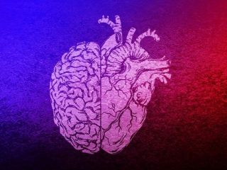 「予知能力」が誰にでも具わっていることが立証されたガチ科学実験とは!? “脳より先に”未来を察知する意外な臓器も判明！